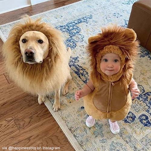 Baby Costumes Halloween 2020 Lion