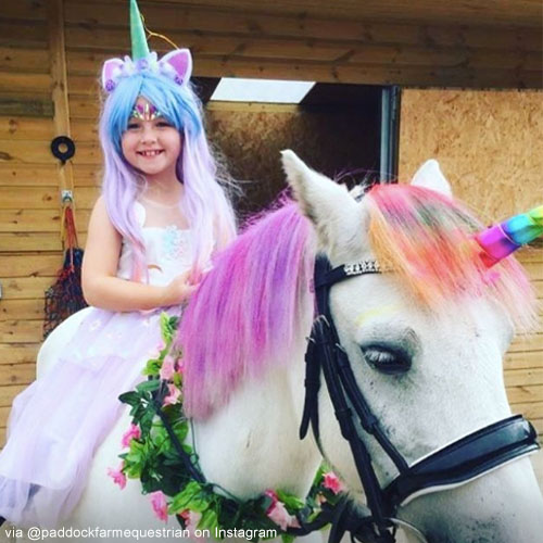 Boring Wig Here Are 8 Fun Costume Ideas for Your Wigs Oya Costumes